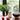 Profumatore Ambiente da 250 ml Profumazione Cotone - I Pregiati - Viron.it