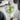 Set 2 Bicchieri da 250ml CRYSTAL S jade - Viron.it