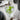 Set 2 Bicchieri da 250ml CRYSTAL S jade - Viron.it