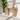 Consolle design moderna in legno naturale con bordi arrotondati