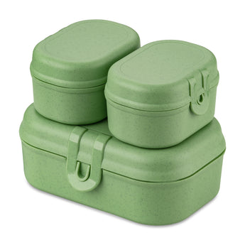 Set 3 Contenitori Portapranzo colore Verde - PASCAL REASY MINI - Viron.it