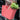 Borsa Spesa Multiuso con Manici colore Corallo - Tasche XL Koziol - Viron.it