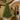 Albero di Natale h 210 cm PE-PVC Effetto Realistico con 2186 Rami e 2000 Led - Luxury