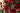 Fiocco di Neve Decorativo per Albero di Natale colore Oro con Gemme Verdi e Rosse - Viron.it