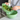 Scolapasta Colino Cucina 20 cm Colore Verde - Palsby M Koziol
