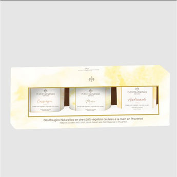 Set 3 Candele Profumate in Cera di Soia con Profumazione Naturale - Viron.it