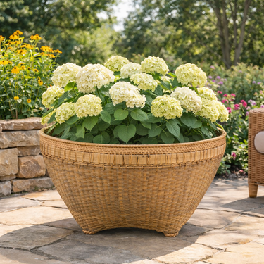 Cesta bassa in vimini decorativa per giardino