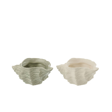 set di ciotole conchiglia da arredo ambientate in interno luminoso stile coastal chic