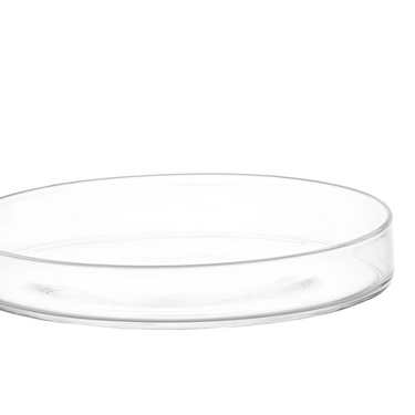 Piatto per Dolci e Torte in Vetro – Diametro 30 cm