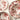 Set 6 Piatti Piani in Porcellana Ø 27 cm Motivo Floreale Rosso Elizabeth – H&H