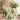 Vaso decorativo in ceramica con tulipani in rilievo per arredo primaverile raffinato