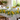 Tovaglia in cotone con stampa limoni gialli, foglie verdi e fiori bianchi su fondo chiaro.