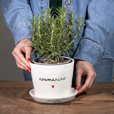 vaso per erbe aromatiche rosmarino simple day