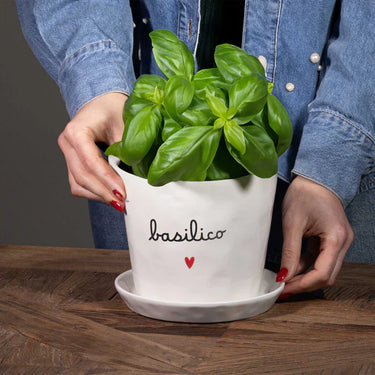 vaso per erbe aromatiche basilico simple day