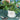 Vaso Salvia in Gres con Sottovaso Simple Day